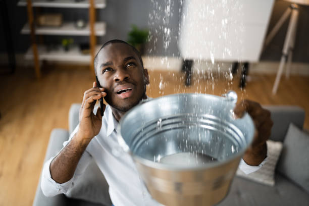 Best Flood damage cleanup  in Greenvle, IL