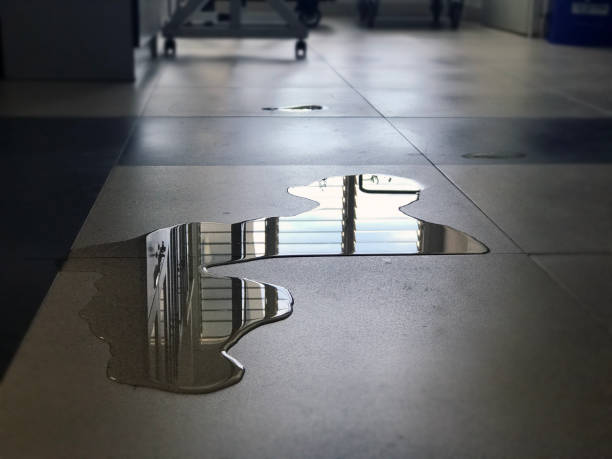 Best Water damage restoration process  in Greenvle, IL