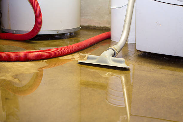 Best Emergency water damage restoration  in Greenvle, IL