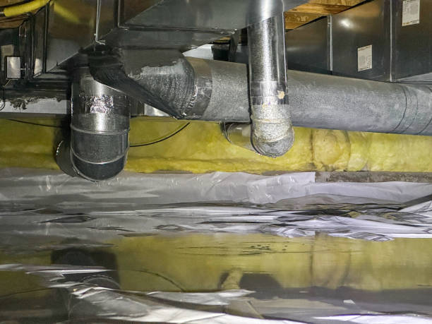 Best Flood restoration services  in Greenvle, IL