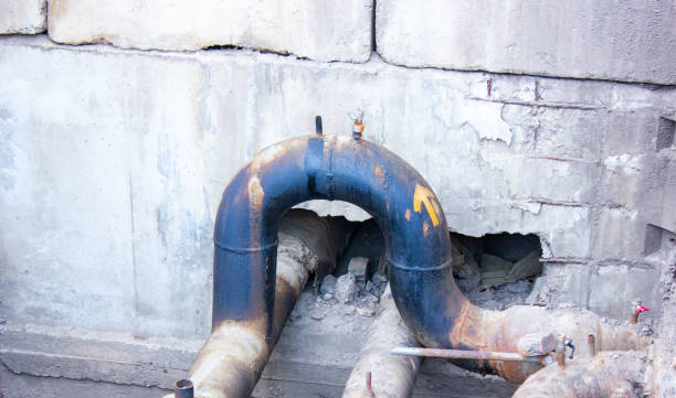 Best Water damage restoration near me  in Greenvle, IL