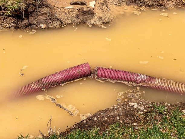 Best Water damage contractors near me  in Greenvle, IL