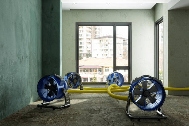 Best 24-hour water damage restoration  in Greenvle, IL